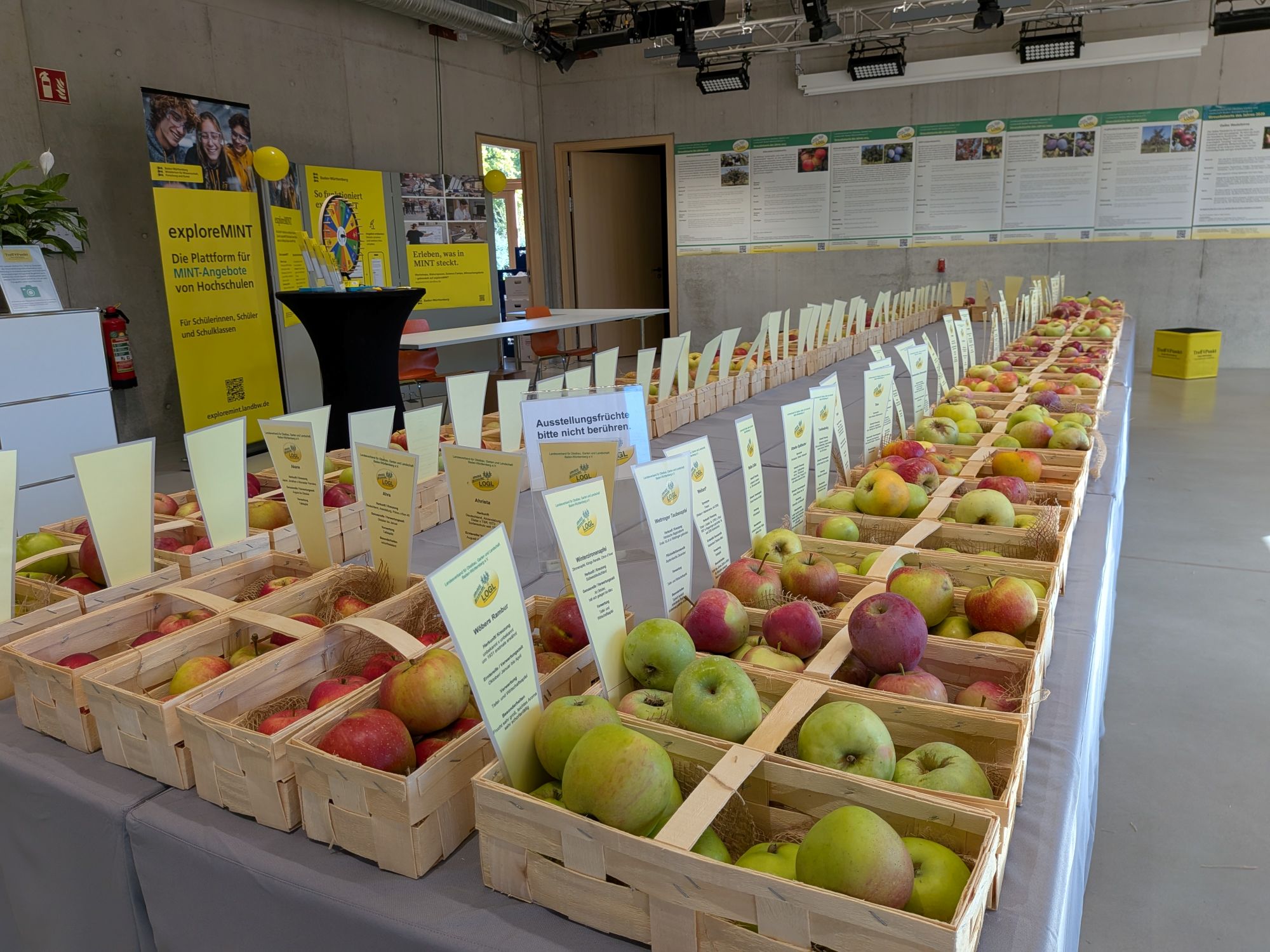 2026 Obstsortenausstellung Ellwangen LaGa efr 9