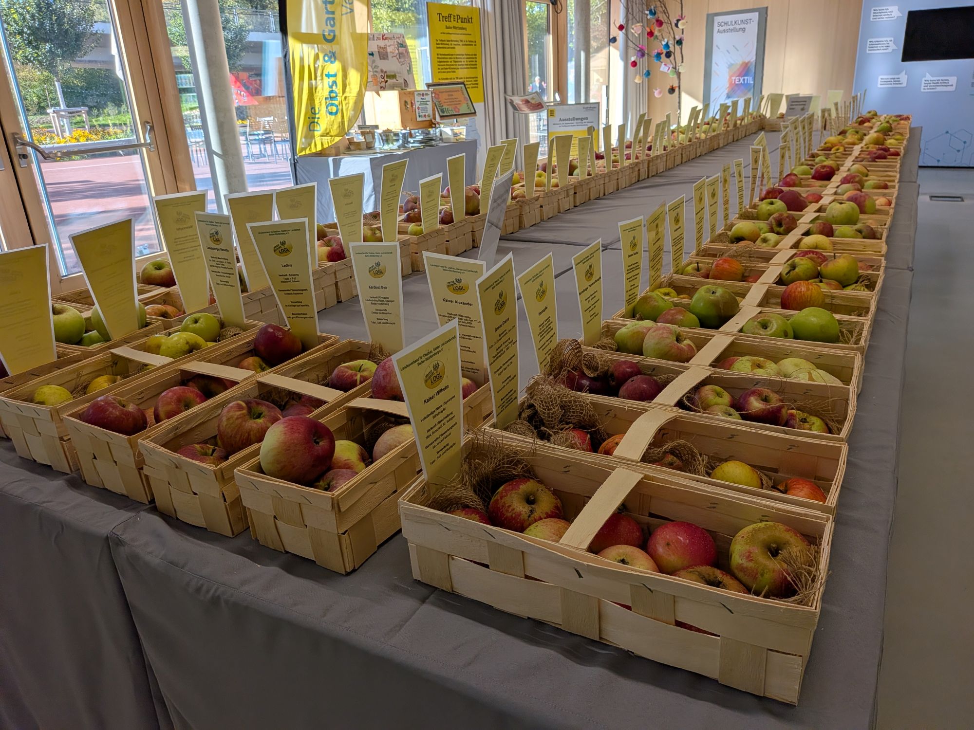 2026 Obstsortenausstellung Ellwangen LaGa efr 35