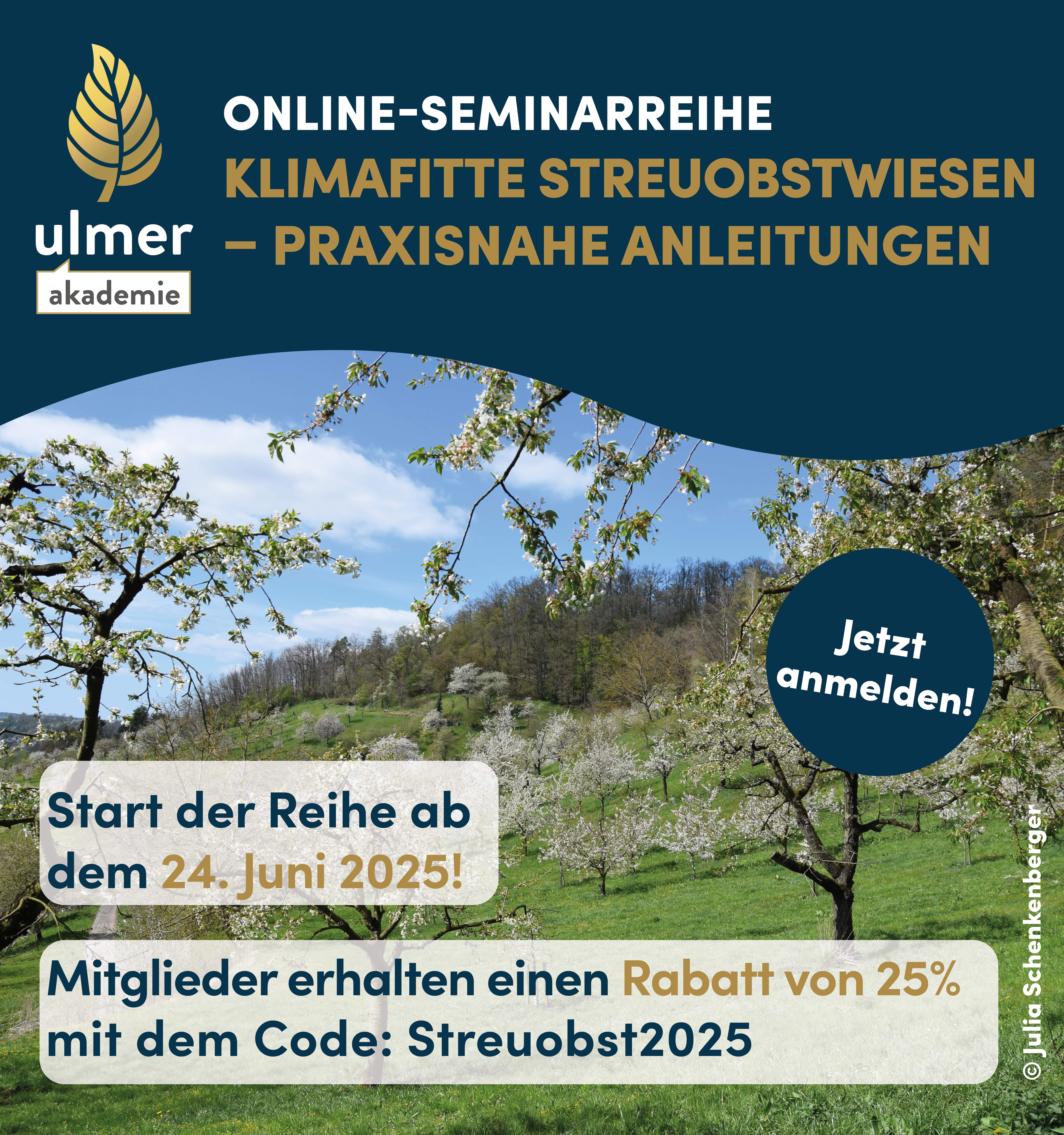 2025 04 16 Social Media Anzeige Streuobst Bundle Verbande 1800 1920px min