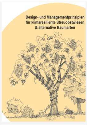 Bild1