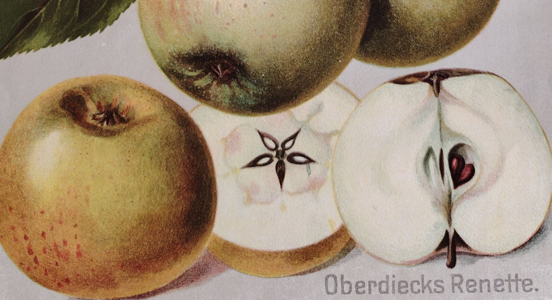 SORTENERHALTUNG