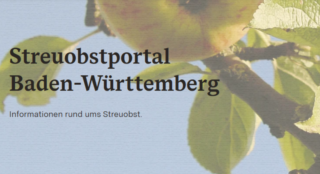 STREUOBST NEWS