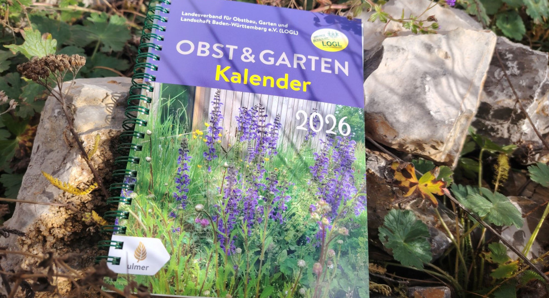 Obst & Gartenkalender 2026 für LOGL-Mitglieder