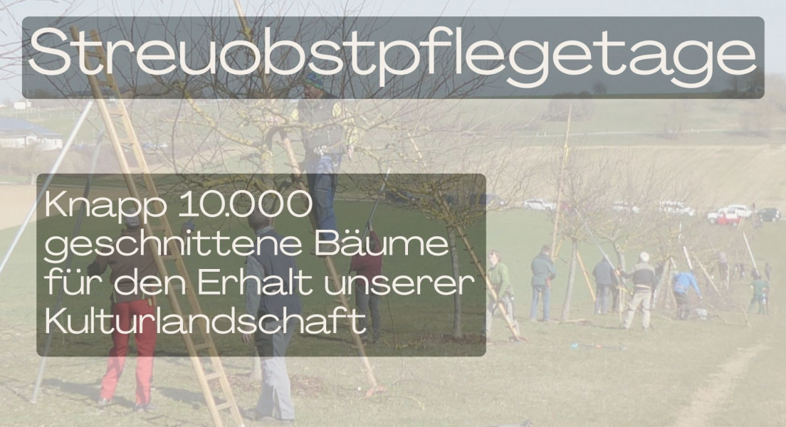 Landesweite Streuobst-pflegetage 2026