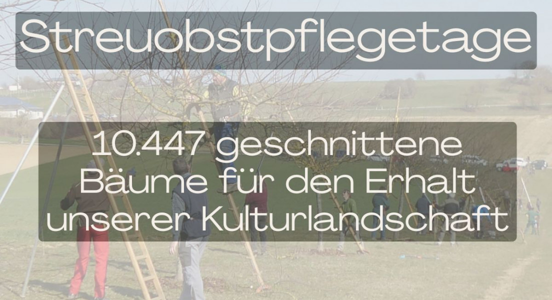 Landesweite Streuobst-pflegetage 2026